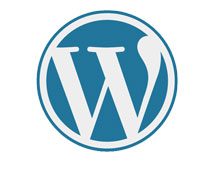 WordPress Quick Install Softaculous Hosting
